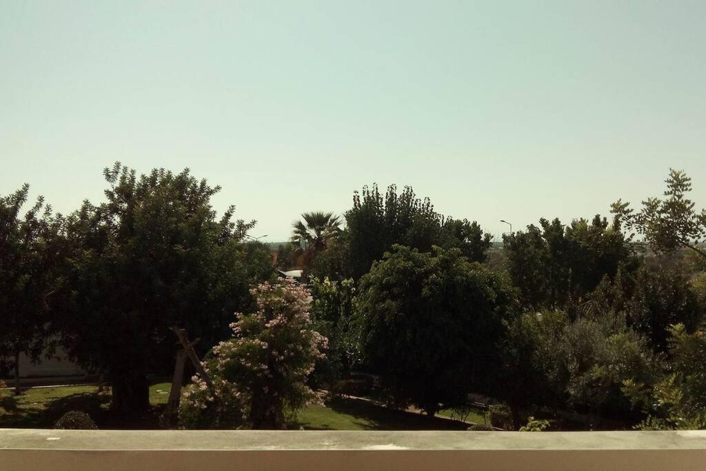 Tavira Travel Lovers Apartment Luaran gambar